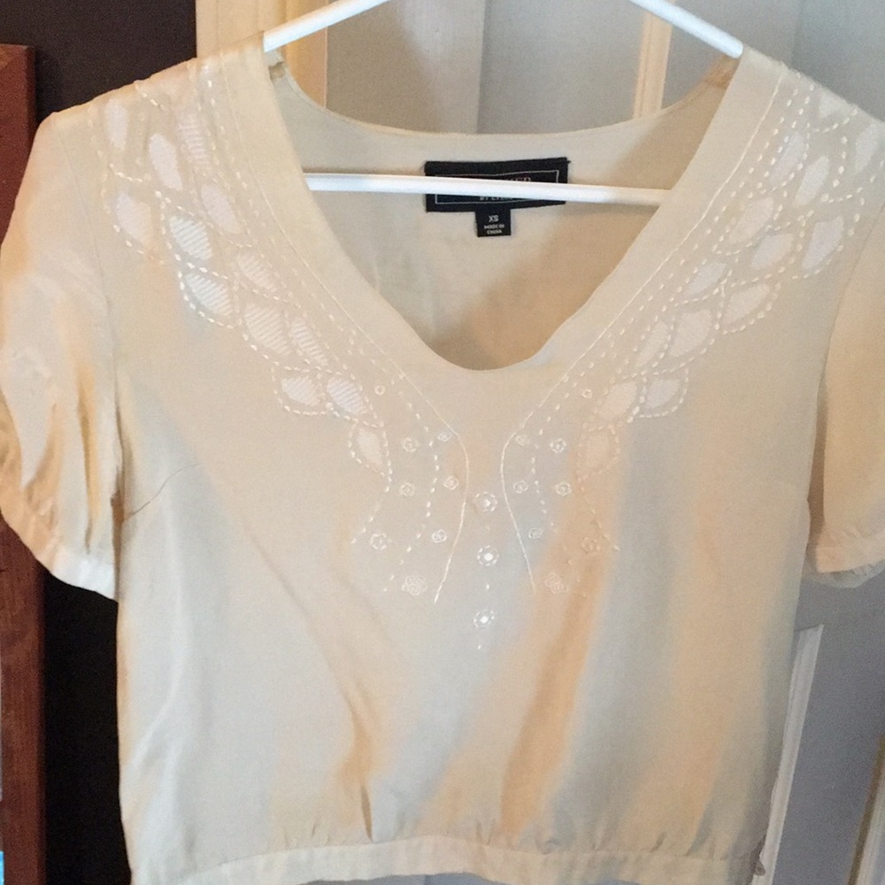 Beautiful embroidered silk crop top, cream